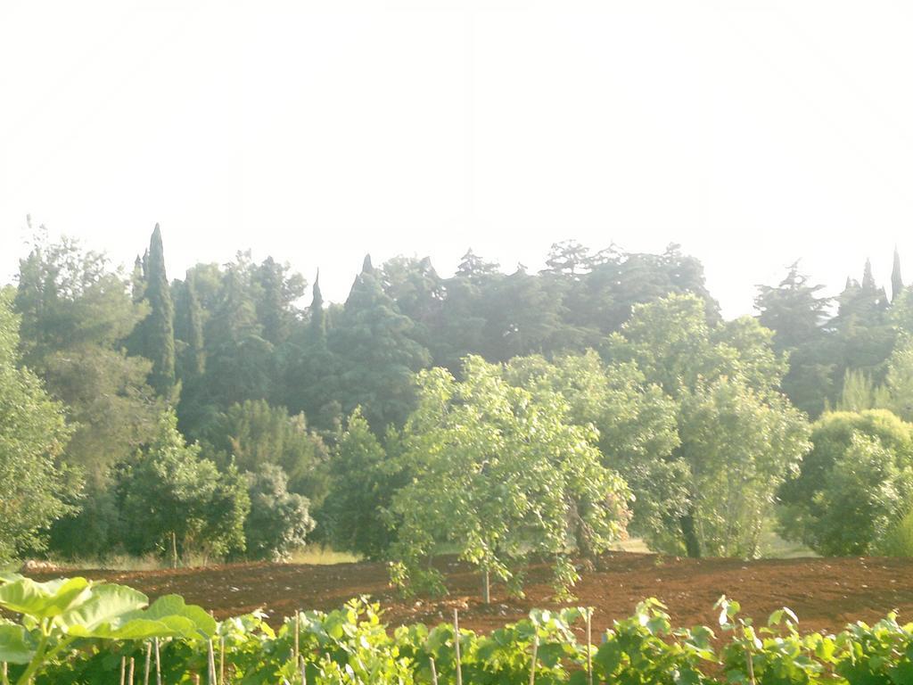 Lino Apartman Rovinj