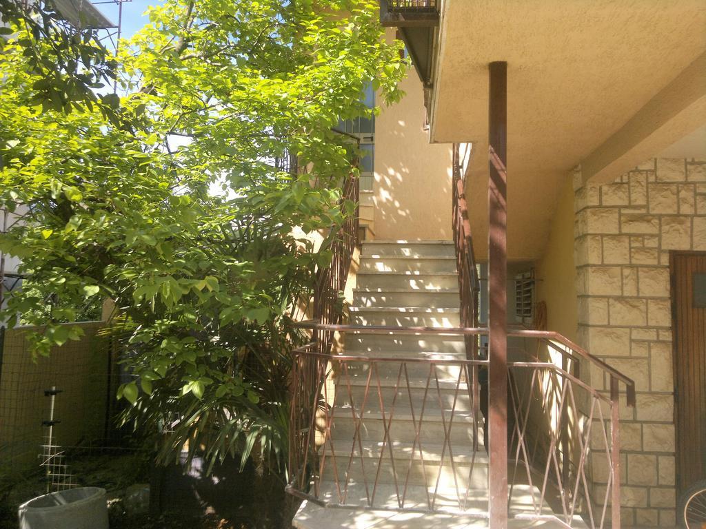 Apartman Lino *